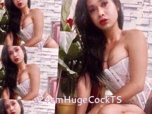 24cmHugeCockTS
