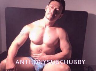 ANTHONYSUBCHUBBY