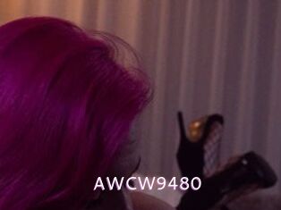 AWCW9480