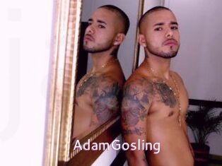AdamGosling