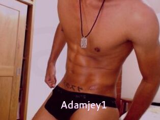 Adamjey1