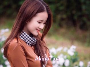 AkinaTina