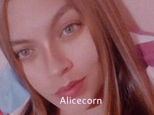 Alicecorn