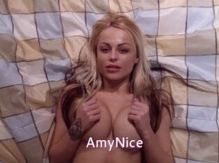 AmyNice