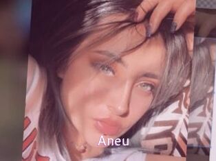 Aneu