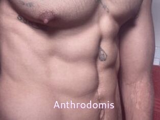 Anthrodomis Just Amateurs