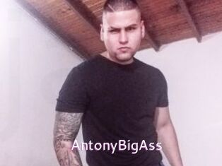 AntonyBigAss