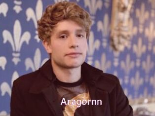 Aragornn Just Amateurs