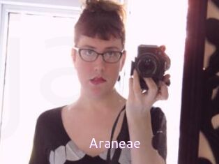 Araneae