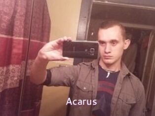 Acarus