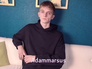 adammarsus Just Amateurs