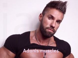 Adonis_muscles