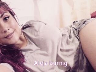 Aleja_burnig