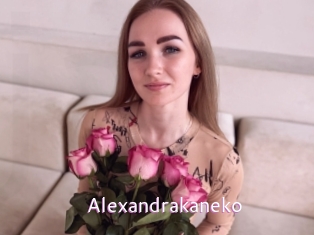 alexandrakaneko Just Amateurs