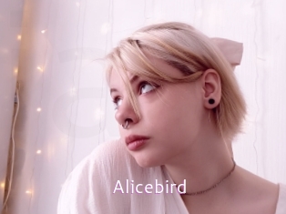 Alicebird