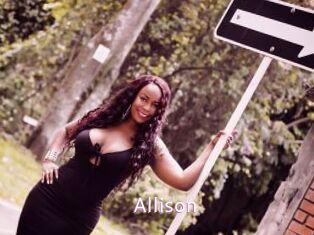 allison Just Amateurs