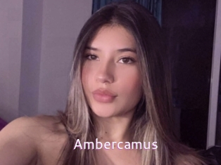 ambercamus Just Amateurs