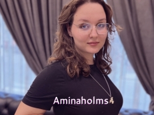 Aminaholms