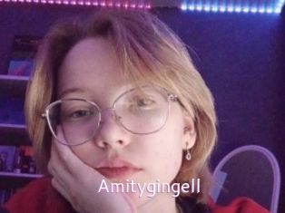 Amitygingell