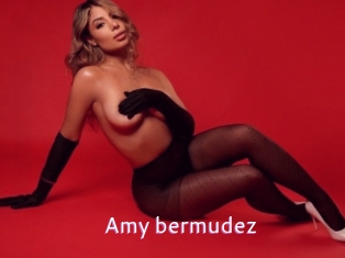 Amy_bermudez