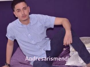 Andresarismendi