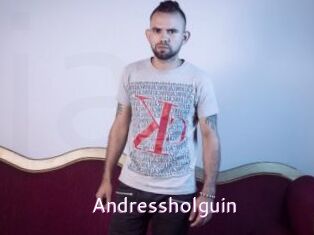 Andressholguin