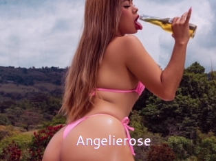 angelierose Just Amateurs