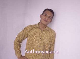 anthonyadams Just Amateurs