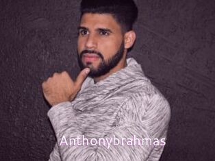 anthonybrahmas Just Amateurs