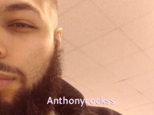 anthonycockss Just Amateurs