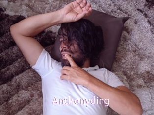 anthonyding Just Amateurs