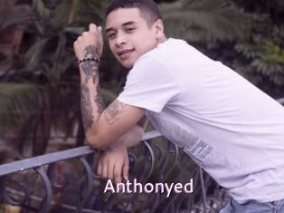 anthonyed Just Amateurs
