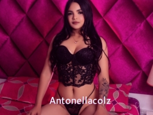 antonellacolz Just Amateurs