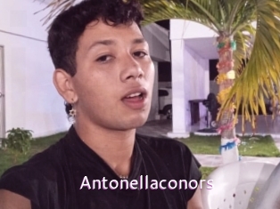 antonellaconors Just Amateurs