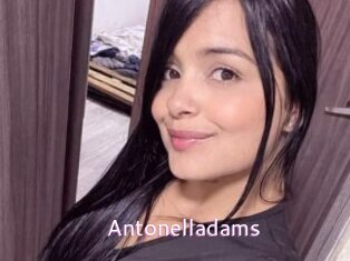 Antonelladams