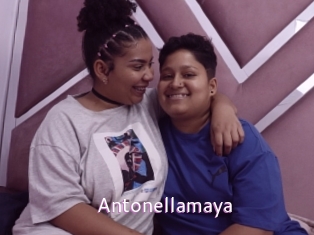 Antonellamaya