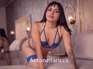Antonellariccii