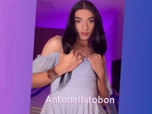 antonellatobon Just Amateurs