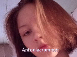 antoniacrammer Just Amateurs