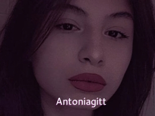Antoniagitt