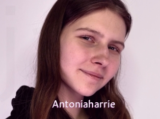 Antoniaharrie