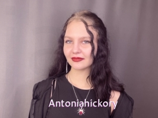 Antoniahickory