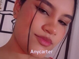 Anycarter