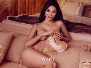 april Just Amateurs