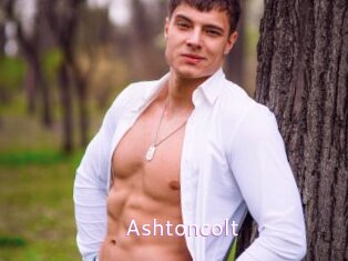 Ashtoncolt