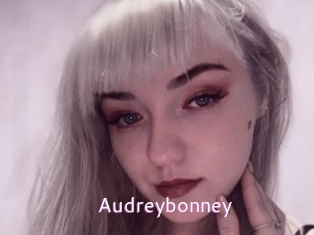 audreybonney Just Amateurs