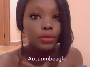 Autumnbeagle