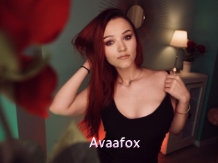 Avaafox