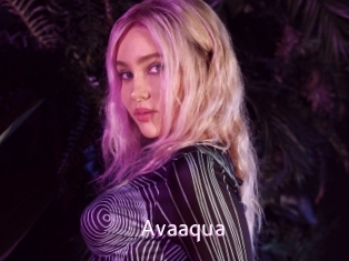avaaqua Just Amateurs