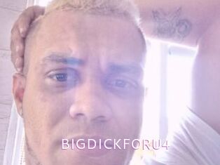 BIGDICKFORU4